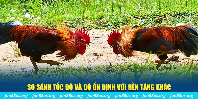 Xem Đá Gà Thomo Trực Tiếp Tại Jun88 – Cập Nhật Liên Tục 3 So sánh tốc độ với nền tảng khác